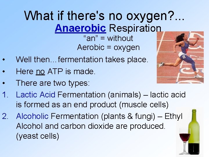 What if there's no oxygen? . . . Anaerobic Respiration “an” = without Aerobic