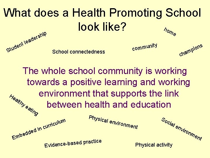 What does a Health Promoting School ho look like? me ip sh r e