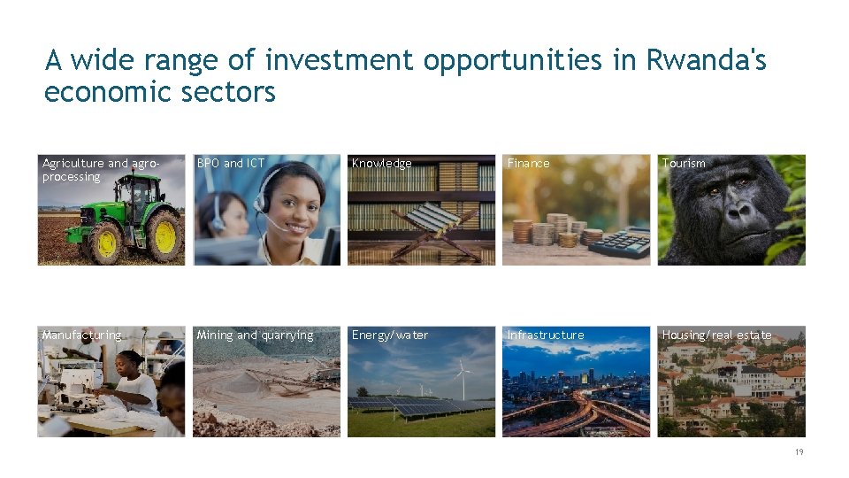 A wide range of investment opportunities in Rwanda's economic sectors Agriculture and agroprocessing BPO