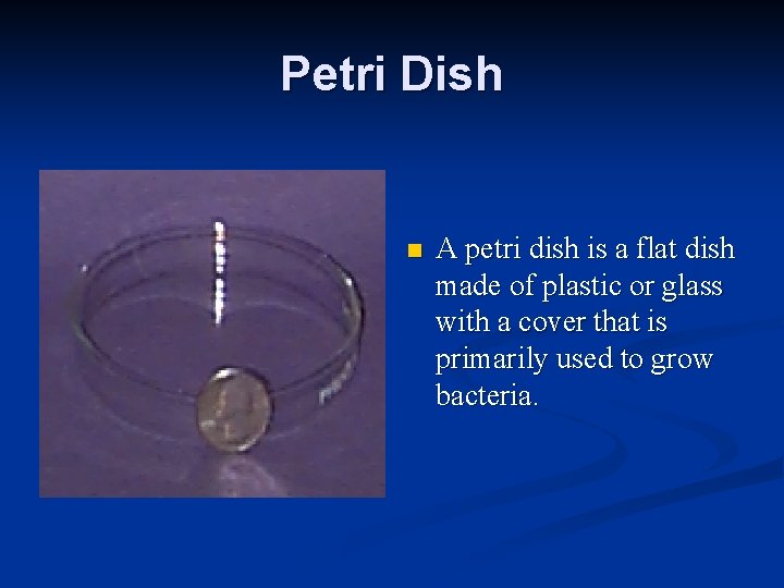 Petri Dish n A petri dish is a flat dish made of plastic or