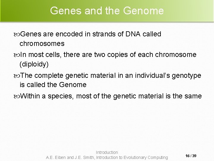 Genes and the Genome Genes are encoded in strands of DNA called chromosomes In