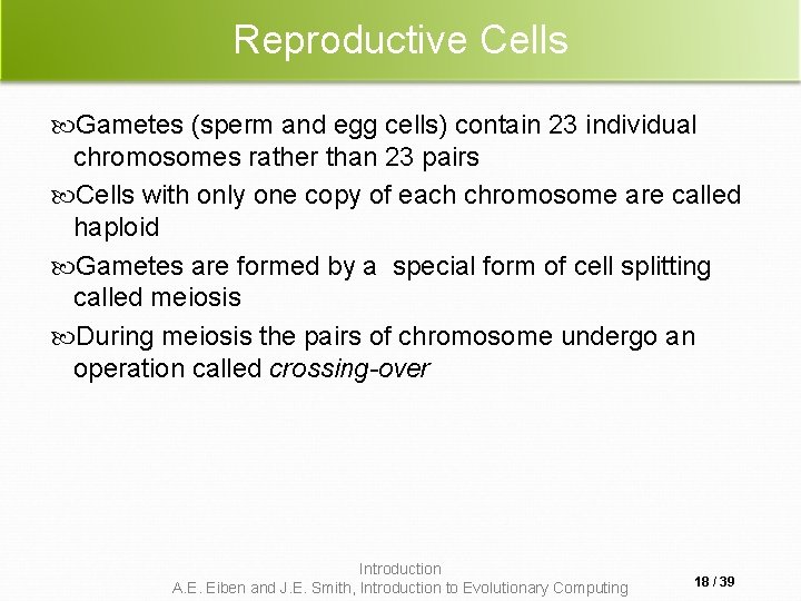 Reproductive Cells Gametes (sperm and egg cells) contain 23 individual chromosomes rather than 23