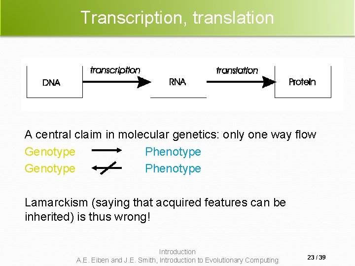 Transcription, translation A central claim in molecular genetics: only one way flow Genotype Phenotype