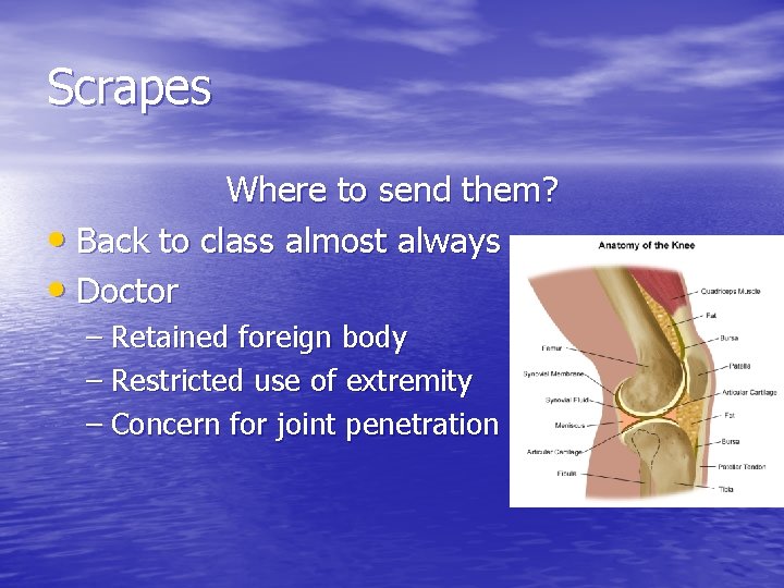 Scrapes Where to send them? • Back to class almost always • Doctor –