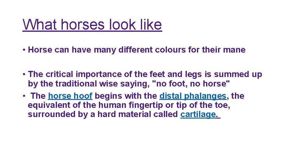 What horses look like • Horse can have many different colours for their mane