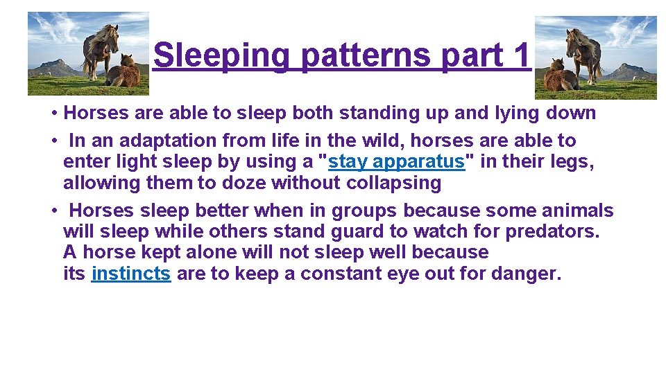 Sleeping patterns part 1 • Horses are able to sleep both standing up and