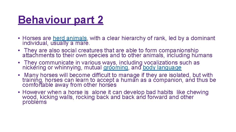 Behaviour part 2 • Horses are herd animals, with a clear hierarchy of rank,