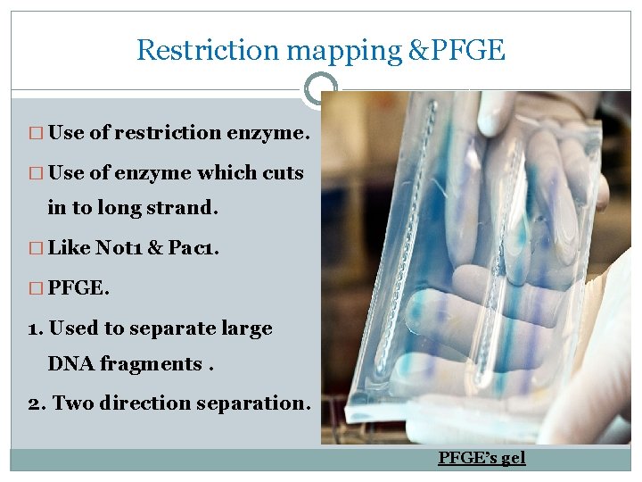 Restriction mapping &PFGE � Use of restriction enzyme. � Use of enzyme which cuts