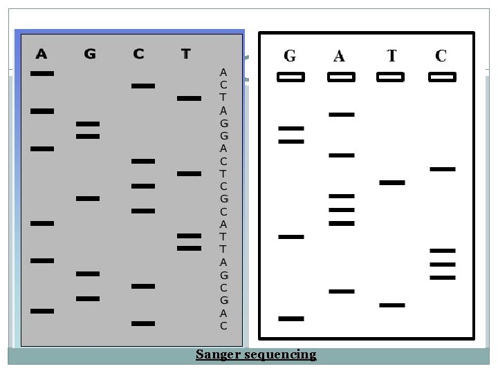 Sanger sequencing 