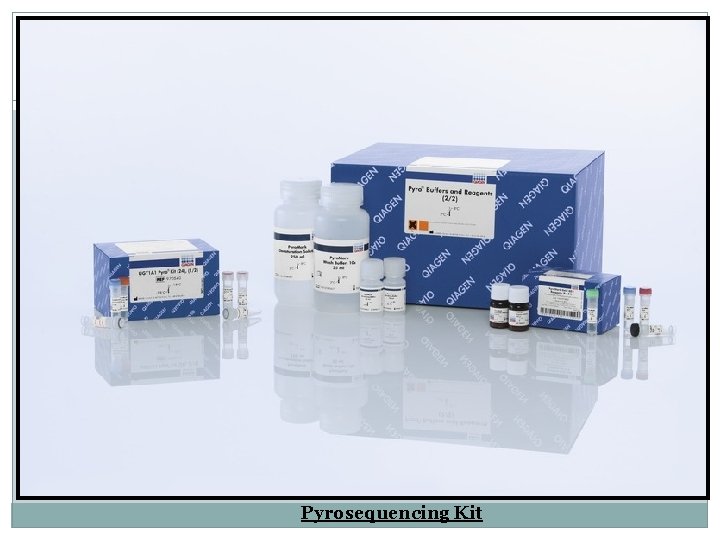 Pyrosequencing Kit 