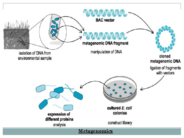 Metagenomics 