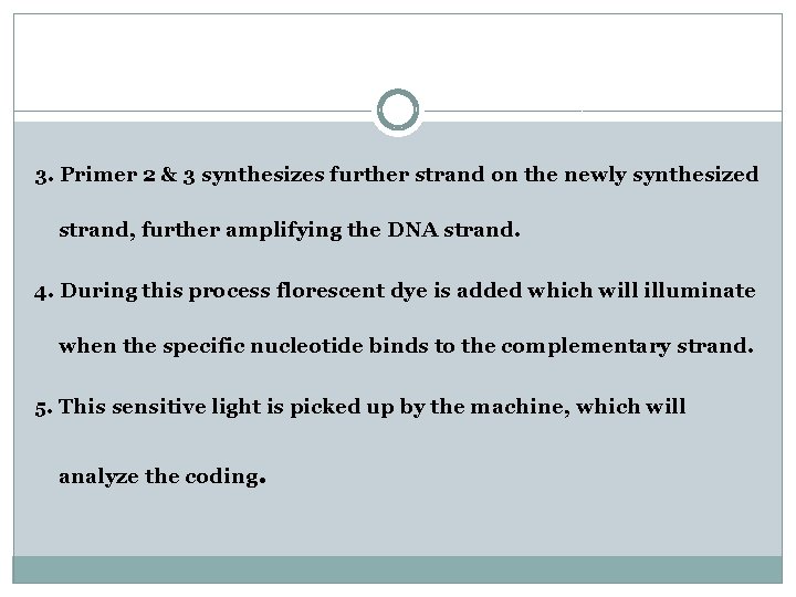 3. Primer 2 & 3 synthesizes further strand on the newly synthesized strand, further