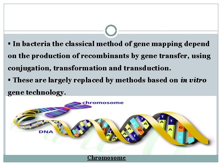 § In bacteria the classical method of gene mapping depend on the production of