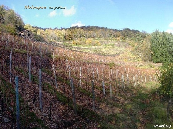 Molompize les palhas 