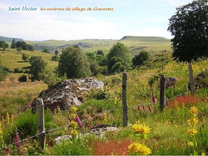 Saint-Urcize les environs du village de Grezettes 
