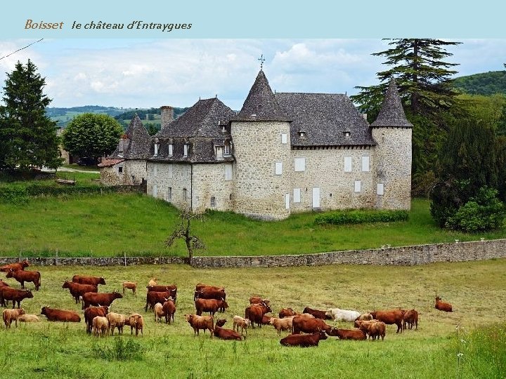 Boisset le château d’Entraygues 
