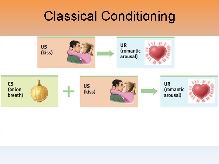 Classical Conditioning 