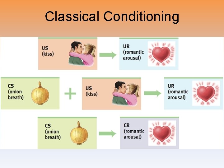 Classical Conditioning 
