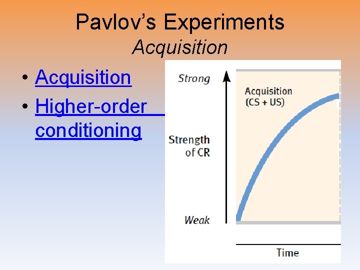 Pavlov’s Experiments Acquisition • Acquisition • Higher-order conditioning 