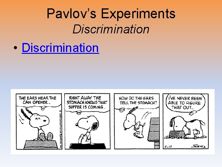 Pavlov’s Experiments Discrimination • Discrimination 
