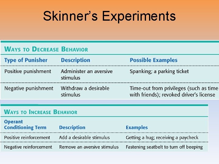 Skinner’s Experiments 