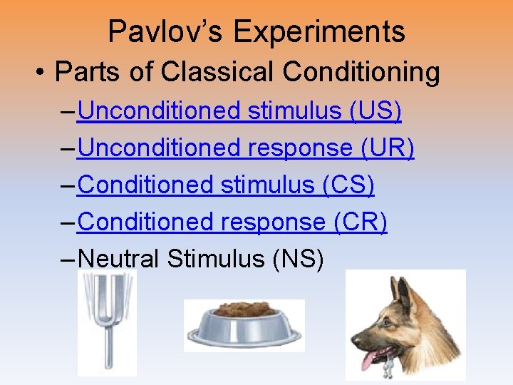 Pavlov’s Experiments • Parts of Classical Conditioning – Unconditioned stimulus (US) – Unconditioned response