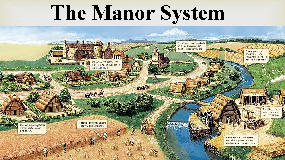 The Manor System 