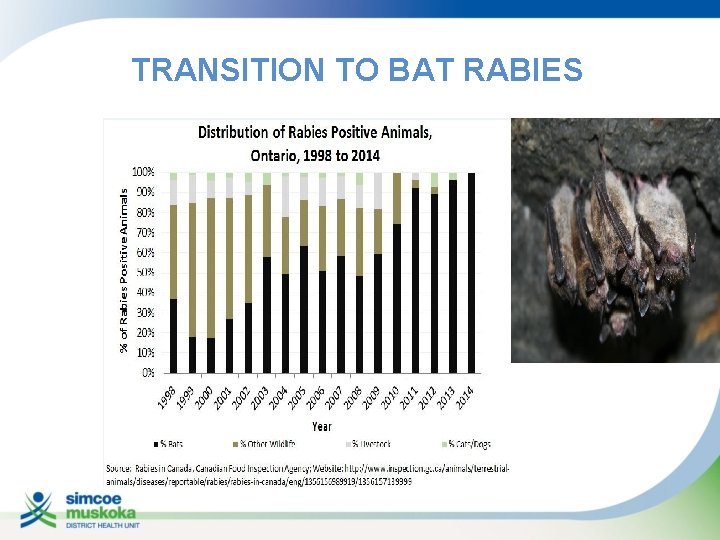 TRANSITION TO BAT RABIES 