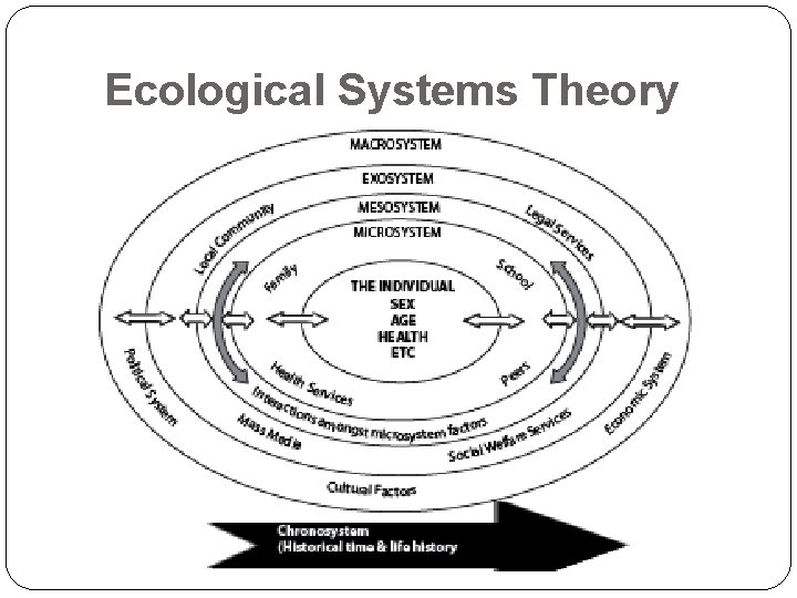 Ecological Systems Theory 