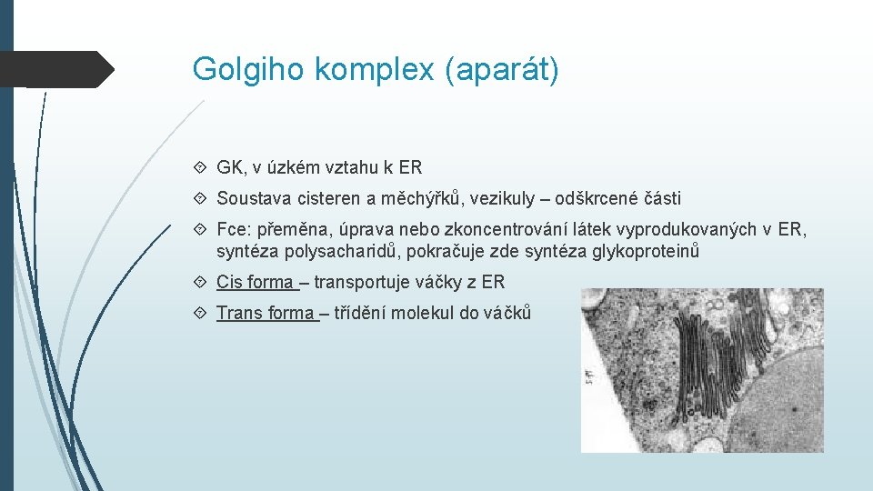 Golgiho komplex (aparát) GK, v úzkém vztahu k ER Soustava cisteren a měchýřků, vezikuly