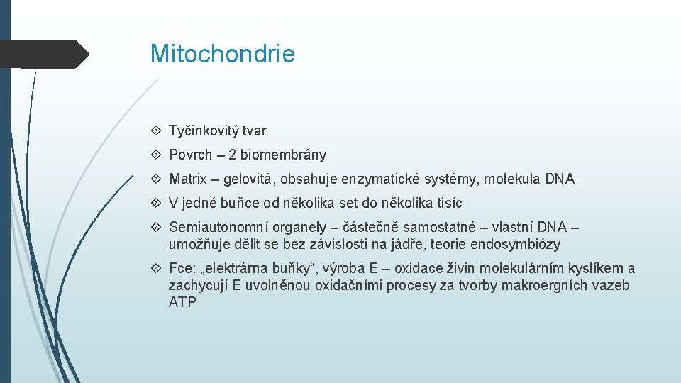 Mitochondrie Tyčinkovitý tvar Povrch – 2 biomembrány Matrix – gelovitá, obsahuje enzymatické systémy, molekula