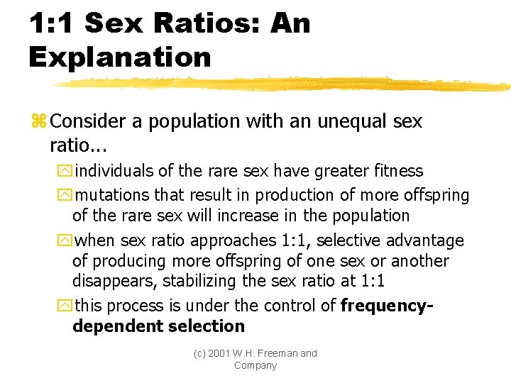 1: 1 Sex Ratios: An Explanation z Consider a population with an unequal sex