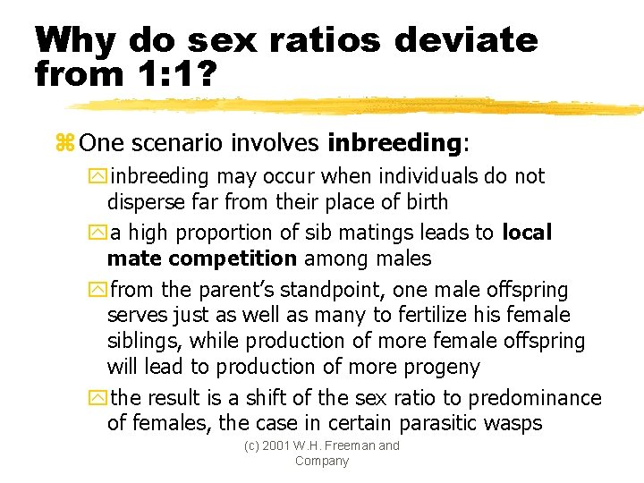 Why do sex ratios deviate from 1: 1? z One scenario involves inbreeding: yinbreeding