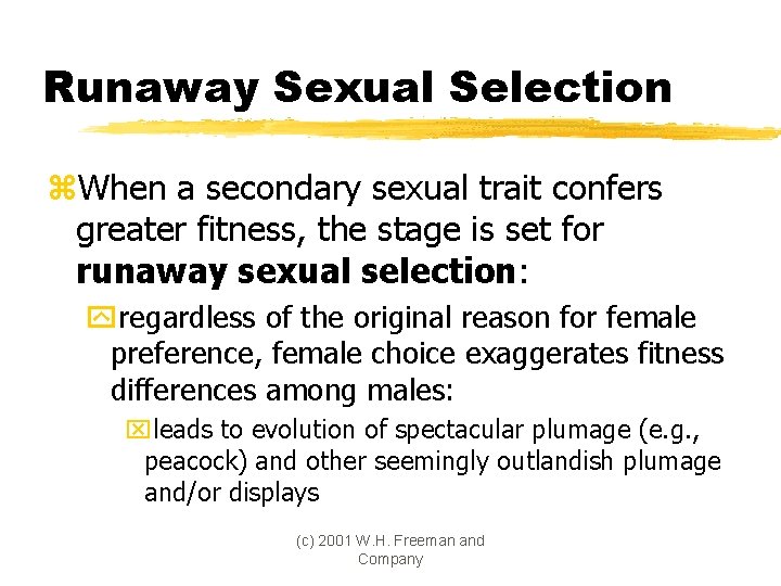 Runaway Sexual Selection z. When a secondary sexual trait confers greater fitness, the stage