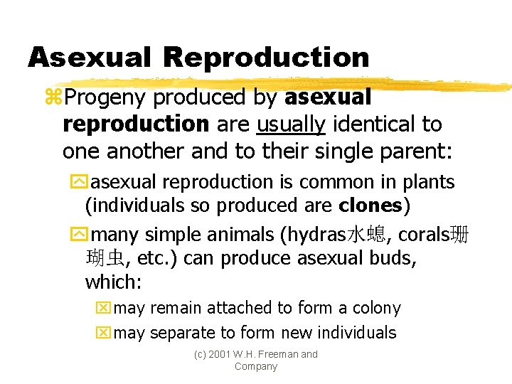 Asexual Reproduction z. Progeny produced by asexual reproduction are usually identical to one another