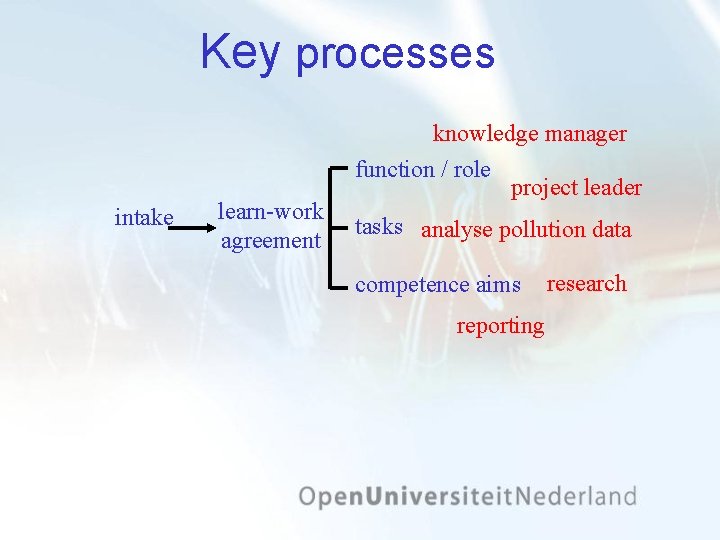 Key processes knowledge manager function / role intake learn-work agreement project leader tasks analyse