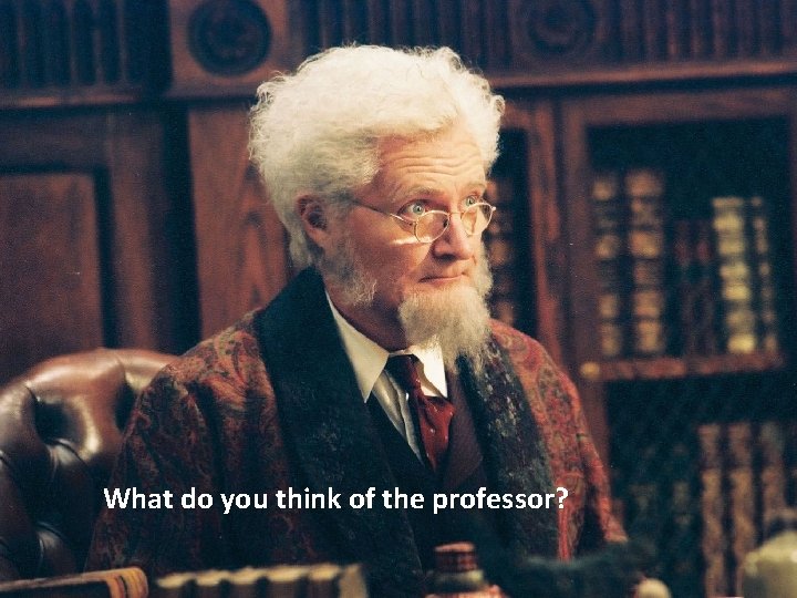 What do you think of the professor? 
