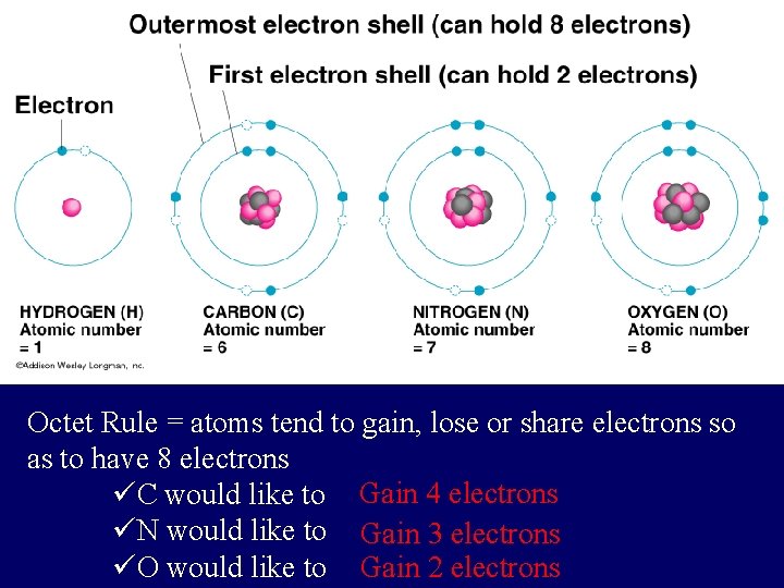 Octet Rule = atoms tend to gain, lose or share electrons so as to