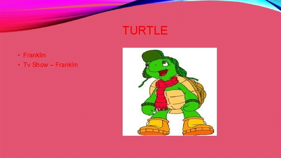 TURTLE • Franklin • Tv Show – Franklin 