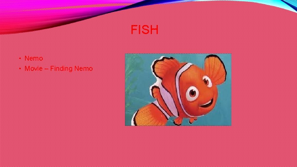 FISH • Nemo • Movie – Finding Nemo 