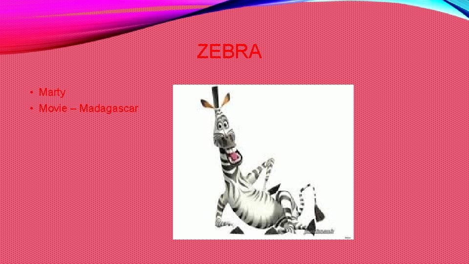 ZEBRA • Marty • Movie – Madagascar 