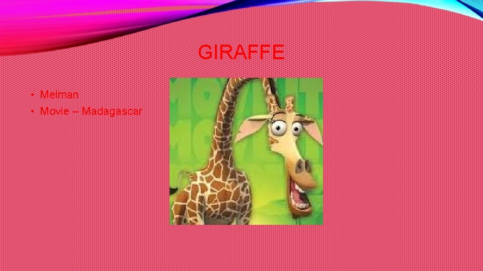 GIRAFFE • Melman • Movie – Madagascar 