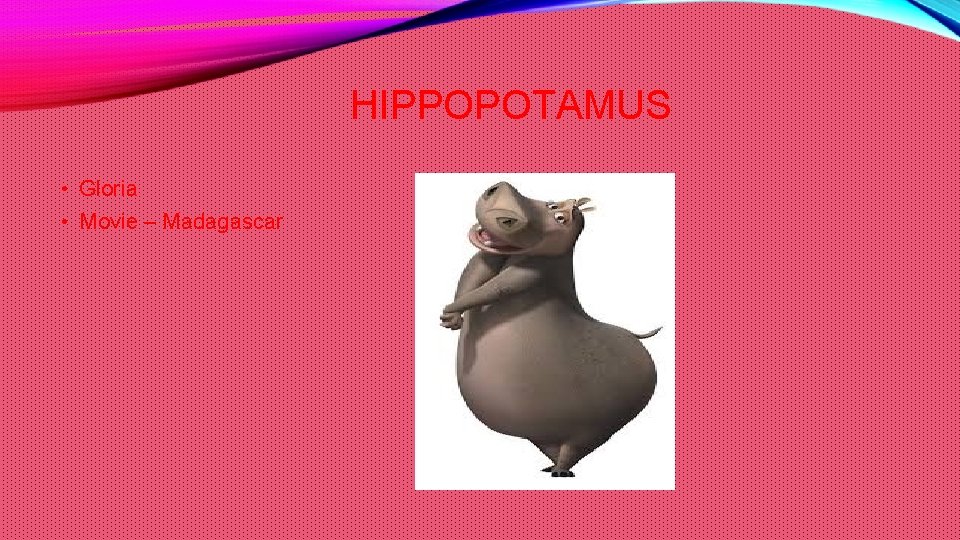 HIPPOPOTAMUS • Gloria • Movie – Madagascar 