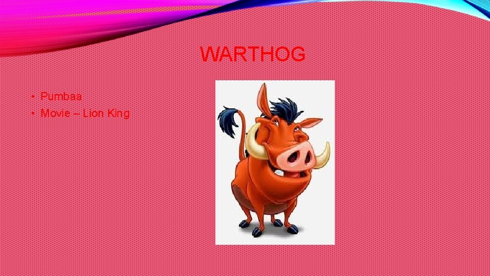 WARTHOG • Pumbaa • Movie – Lion King 