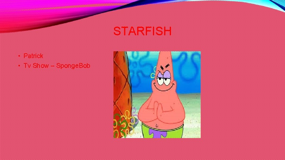 STARFISH • Patrick • Tv Show – Sponge. Bob 