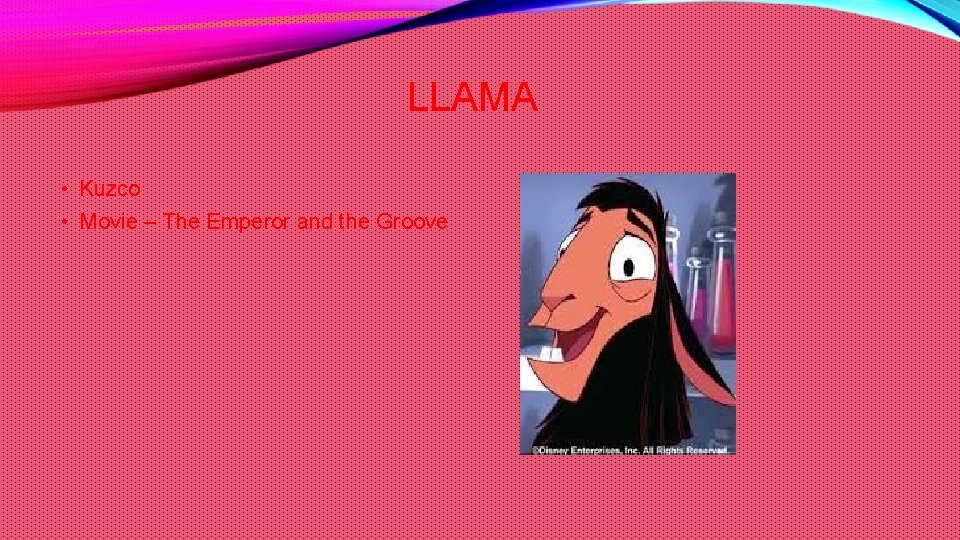 LLAMA • Kuzco • Movie – The Emperor and the Groove 