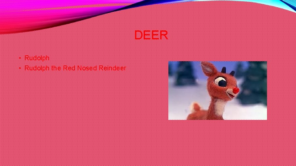 DEER • Rudolph the Red Nosed Reindeer 