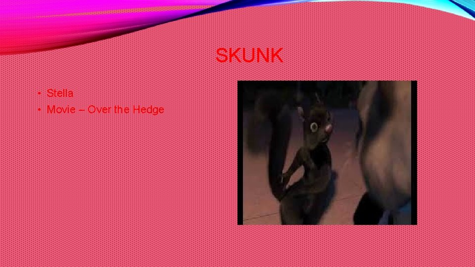 SKUNK • Stella • Movie – Over the Hedge 