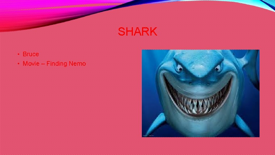 SHARK • Bruce • Movie – Finding Nemo 