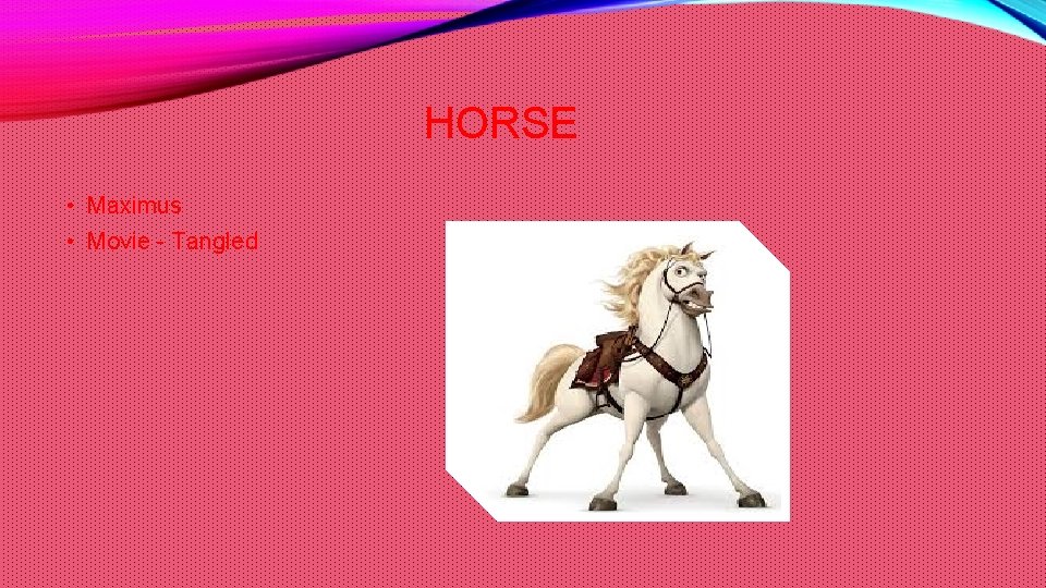 HORSE • Maximus • Movie - Tangled 